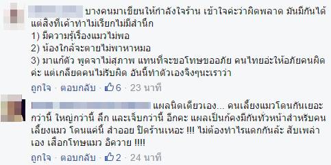 แมวตาย แมวตาย