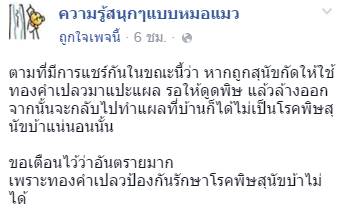 ทองคำเปลว รักษาโรคพิษสุนัขบ้า ทองคำเปลว รักษาโรคพิษสุนัขบ้า