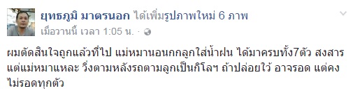 ช่วยสุนัขแม่ลูกจมโคลน ช่วยสุนัขแม่ลูกจมโคลน