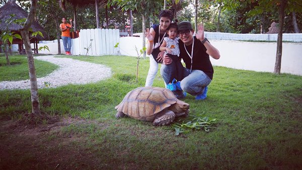 ดาราเสียชีวิต 2559 ดาราเสียชีวิต 2559