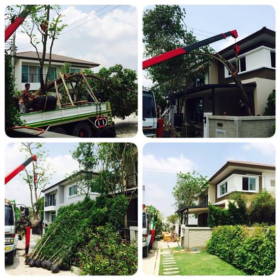 บ้านกิ๊ฟ วิลาวัณย์ อภิญญาพงศ์ บ้านกิ๊ฟ วิลาวัณย์ อภิญญาพงศ์