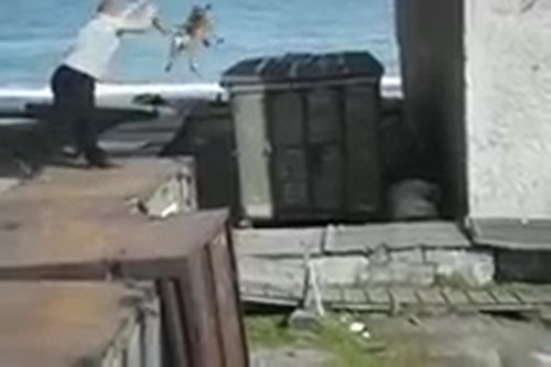 จับสุนัขโยนให้หมีขั้วโลกดุร้ายขย้ จับสุนัขโยนให้หมีขั้วโลกดุร้ายขย้