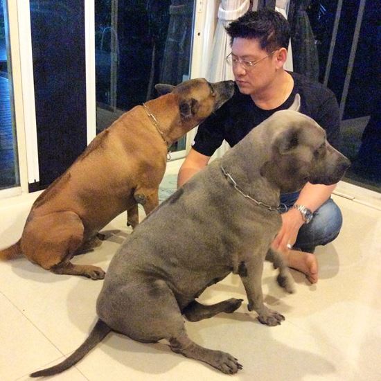 สรยุทธ สุทัศนะจินดา สรยุทธ สุทัศนะจินดา