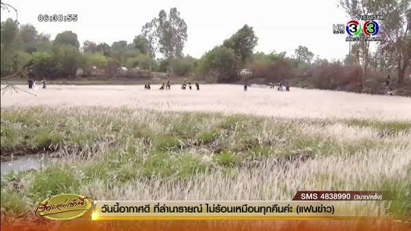ทุ่งดอกหญ้าคาน้ำ อุบลราชธานี ทุ่งดอกหญ้าคาน้ำ อุบลราชธานี