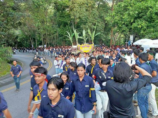 ประเพณีลูกช้างขึ้นดอย 2559 ประเพณีลูกช้างขึ้นดอย 2559