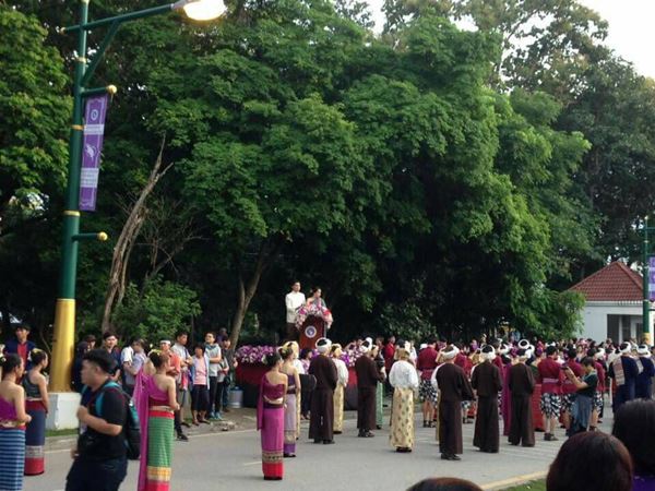 ประเพณีลูกช้างขึ้นดอย 2559 ประเพณีลูกช้างขึ้นดอย 2559