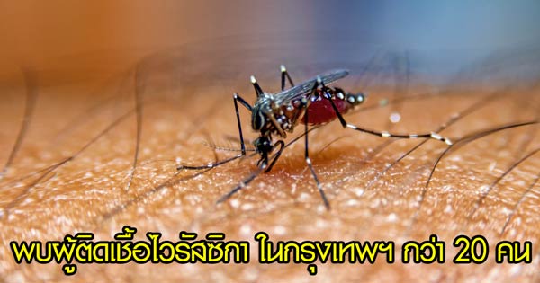 ไวรัสซิกา ไวรัสซิกา