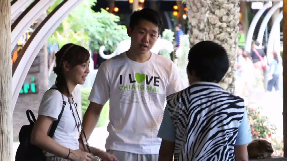 เชียงใหม่ไนท์ซาฟารี เขียนป้าย เชียงใหม่ไนท์ซาฟารี เขียนป้าย