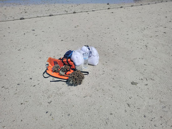 นักท่องเที่ยวจีน เดินเก็บปะการังบนทะเลแหวก เข้าไปเตือนก็ยังเฉย นักท่องเที่ยวจีน เดินเก็บปะการังบนทะเลแหวก เข้าไปเตือนก็ยังเฉย