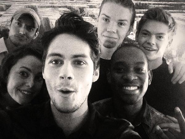 maze runner maze runner
