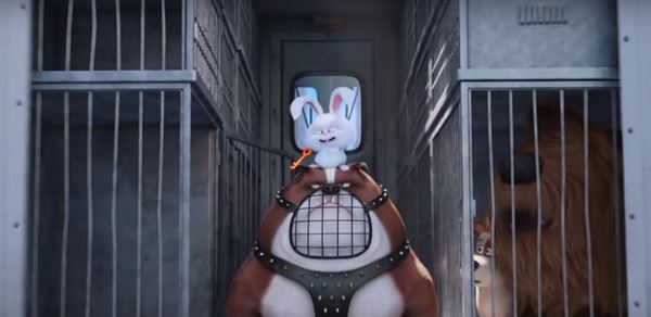 The Secret Life Of Pets The Secret Life Of Pets