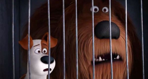 The Secret Life Of Pets The Secret Life Of Pets