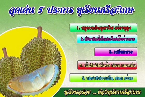 เทศกาลเงาะ ทุเรียน ของดีศรีสะเกษ เทศกาลเงาะ ทุเรียน ของดีศรีสะเกษ