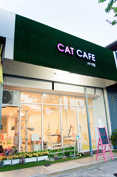ร้านกาแฟย่านวังหิน-โชคชัย 4 ร้านกาแฟย่านวังหิน-โชคชัย 4