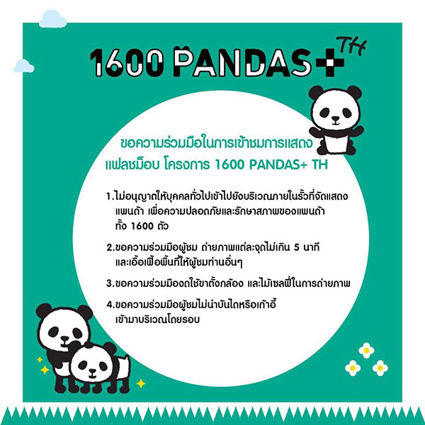 แพนด้า 1,600 ตัว แพนด้า 1,600 ตัว