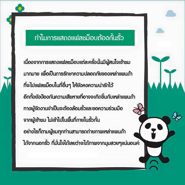 แพนด้า 1,600 ตัว แพนด้า 1,600 ตัว