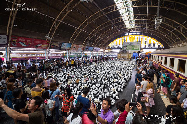 แพนด้า 1,600 ตัว แพนด้า 1,600 ตัว