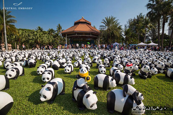 แพนด้า 1,600 ตัว แพนด้า 1,600 ตัว