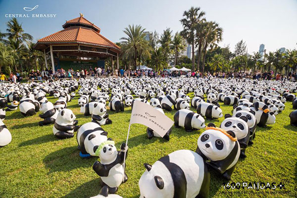 แพนด้า 1,600 ตัว แพนด้า 1,600 ตัว