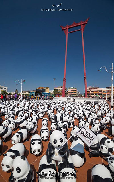 แพนด้า 1,600 ตัว แพนด้า 1,600 ตัว