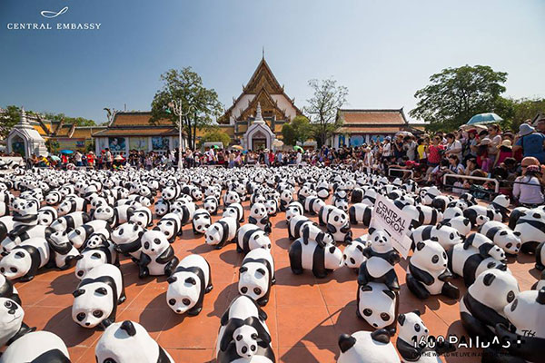 แพนด้า 1,600 ตัว แพนด้า 1,600 ตัว