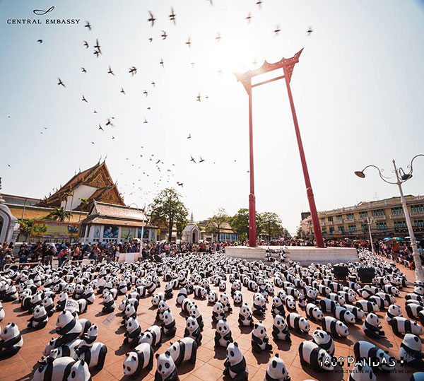แพนด้า 1,600 ตัว แพนด้า 1,600 ตัว