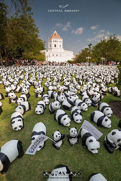 แพนด้า 1,600 ตัว แพนด้า 1,600 ตัว