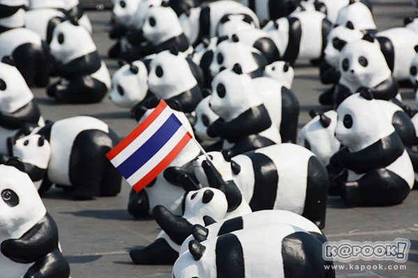 แพนด้า 1,600 ตัว แพนด้า 1,600 ตัว