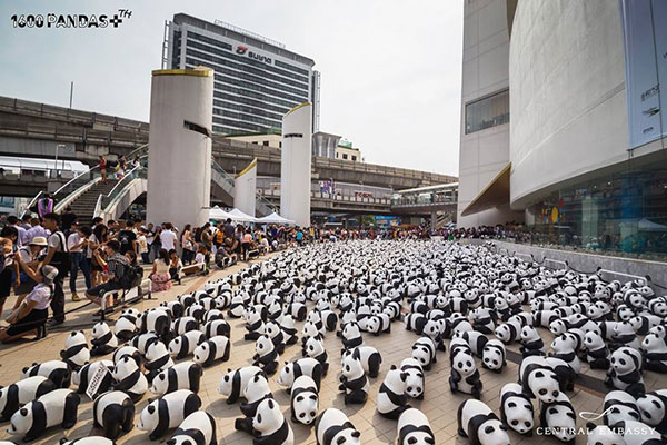 แพนด้า 1,600 ตัว แพนด้า 1,600 ตัว