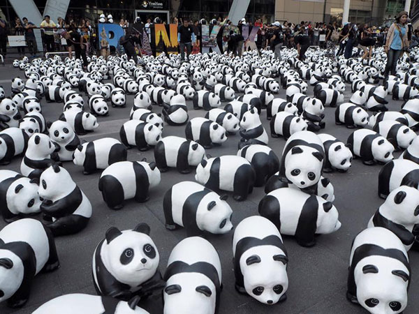 แพนด้า 1,600 ตัว แพนด้า 1,600 ตัว