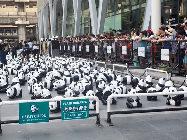 แพนด้า 1,600 ตัว แพนด้า 1,600 ตัว