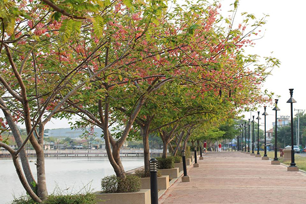 ซากุระบุรีรัมย์ ซากุระบุรีรัมย์