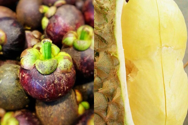 ตลาดไอยรา ปทุมธานี ตลาดไอยรา ปทุมธานี