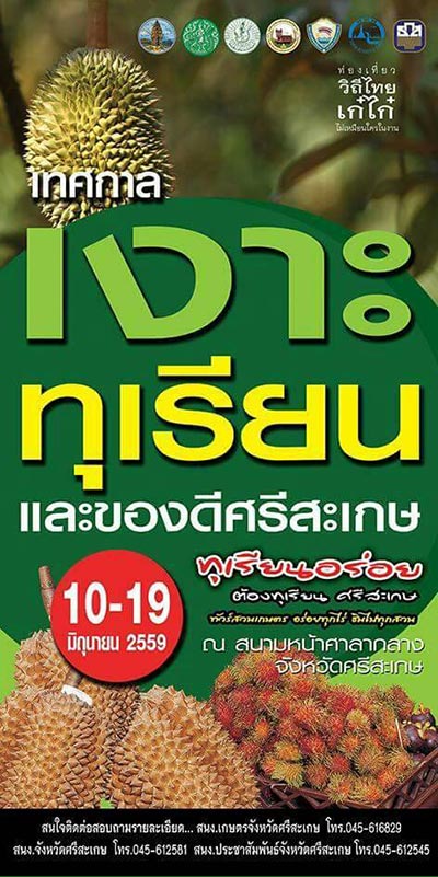 เทศกาลเงาะ ทุเรียน ของดีศรีสะเกษ เทศกาลเงาะ ทุเรียน ของดีศรีสะเกษ