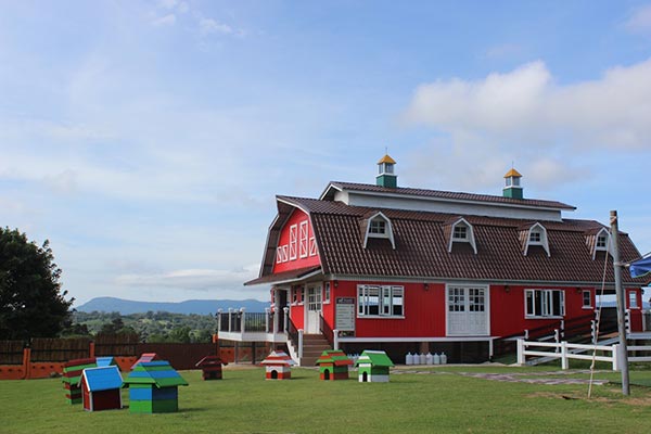 เที่ยววังน้ำเขียว เที่ยววังน้ำเขียว