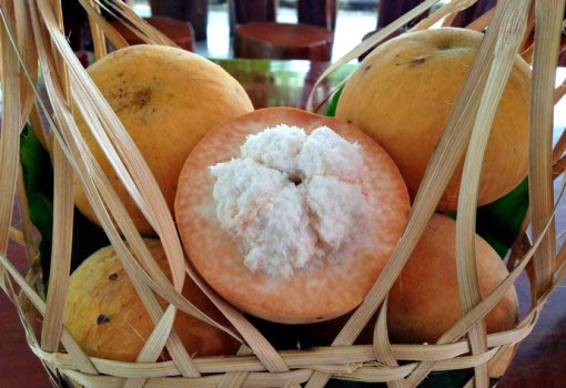 เที่ยวเข้าพรรษาภาคกลาง เที่ยวเข้าพรรษาภาคกลาง