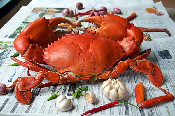 เที่ยวเข้าพรรษาภาคกลาง เที่ยวเข้าพรรษาภาคกลาง