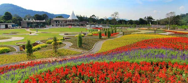 ที่เที่ยวเขาใหญ่ The Bloom