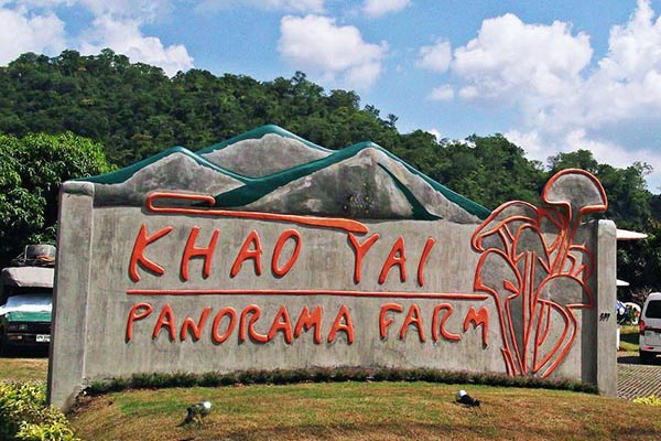ที่เที่ยวเขาใหญ่ เขาใหญ่ พาโนรามา ฟาร์ม