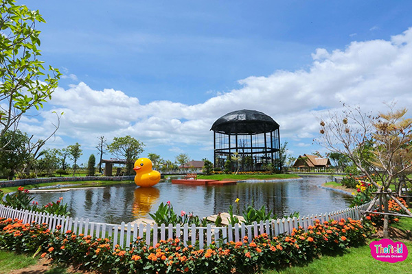 The Field  Animals Dream The Field  Animals Dream