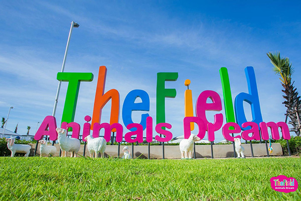 The Field  Animals Dream The Field  Animals Dream