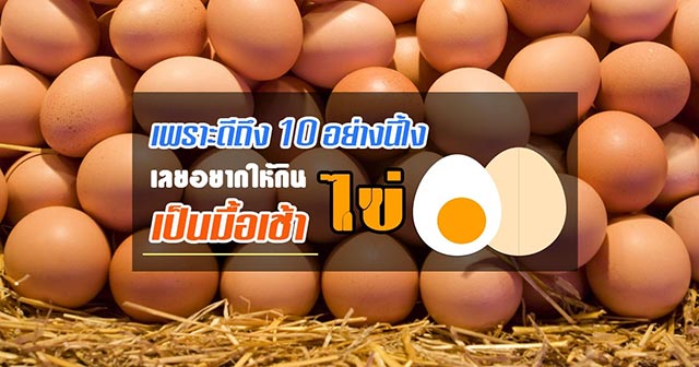 ประโยชน์ของไข่ ประโยชน์ของไข่