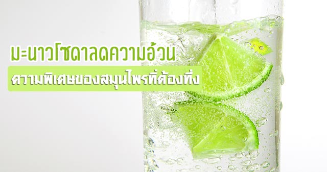 มะนาวโซดา มะนาวโซดา