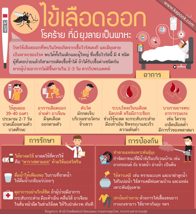 ไข้เลือดออก ไข้เลือดออก โรคร้ายแรงที่มียุงลายเป็นพาหะ