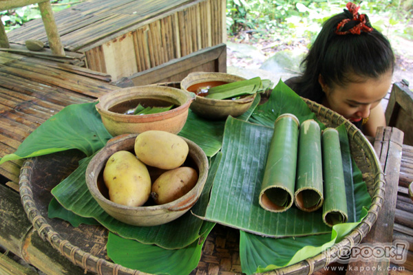 Mari Mari Cultural Village Mari Mari Cultural Village