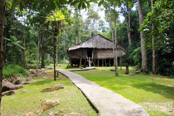 Mari Mari Cultural Village Mari Mari Cultural Village