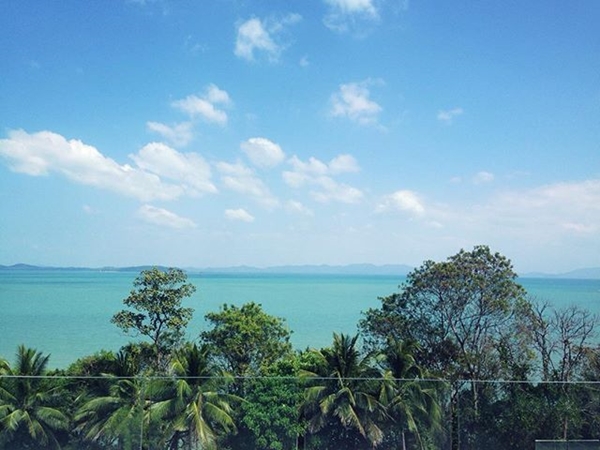 ติช่า ภูเก็ต ติช่า ภูเก็ต