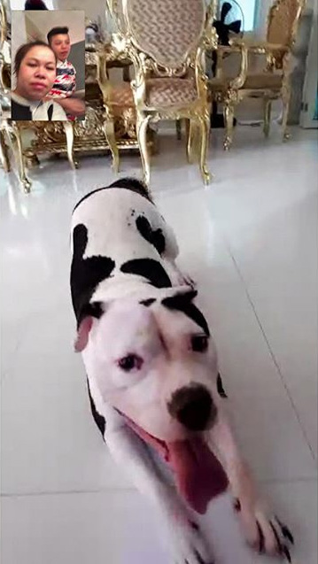 บ้าน ตุ๊กกี้ ชิงร้อยชิงล้าน บ้าน ตุ๊กกี้ ชิงร้อยชิงล้าน