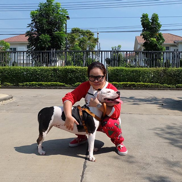 บ้าน ตุ๊กกี้ ชิงร้อยชิงล้าน บ้าน ตุ๊กกี้ ชิงร้อยชิงล้าน