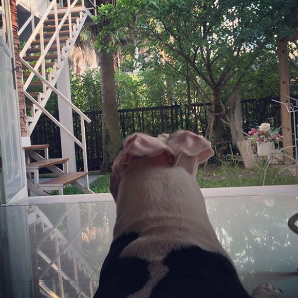 บ้าน ตุ๊กกี้ ชิงร้อยชิงล้าน บ้าน ตุ๊กกี้ ชิงร้อยชิงล้าน